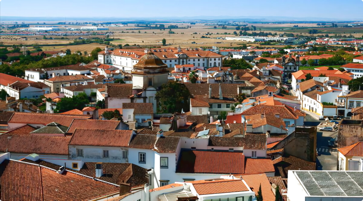 Quais são as escolhas de veículos mais populares em Évora?